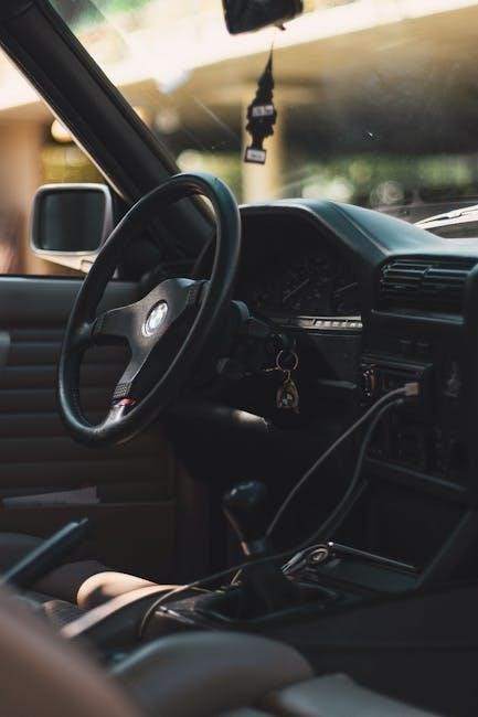 bmw x5 owner’s manual