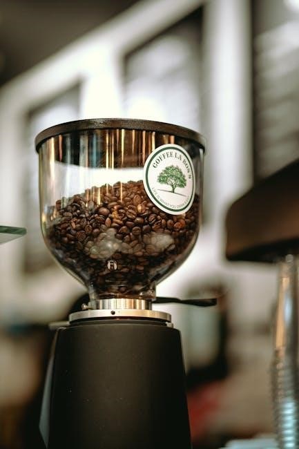 coffee grinding guide
