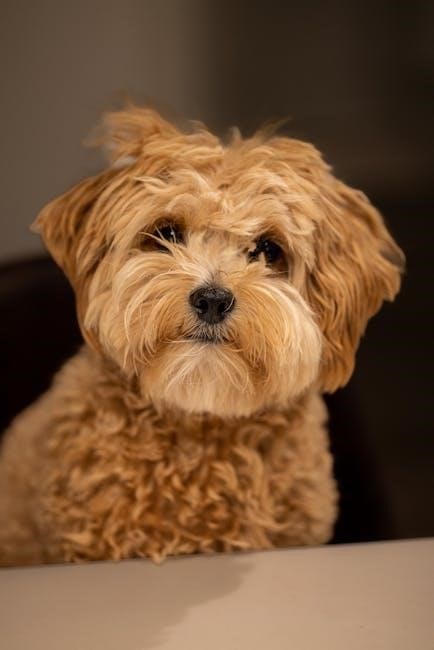 bissell little green proheat pet manual pdf