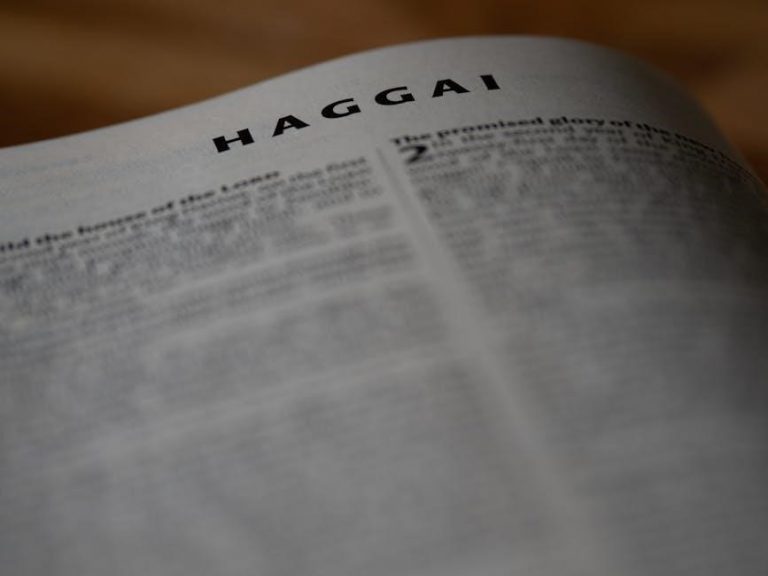 florida last will and testament pdf